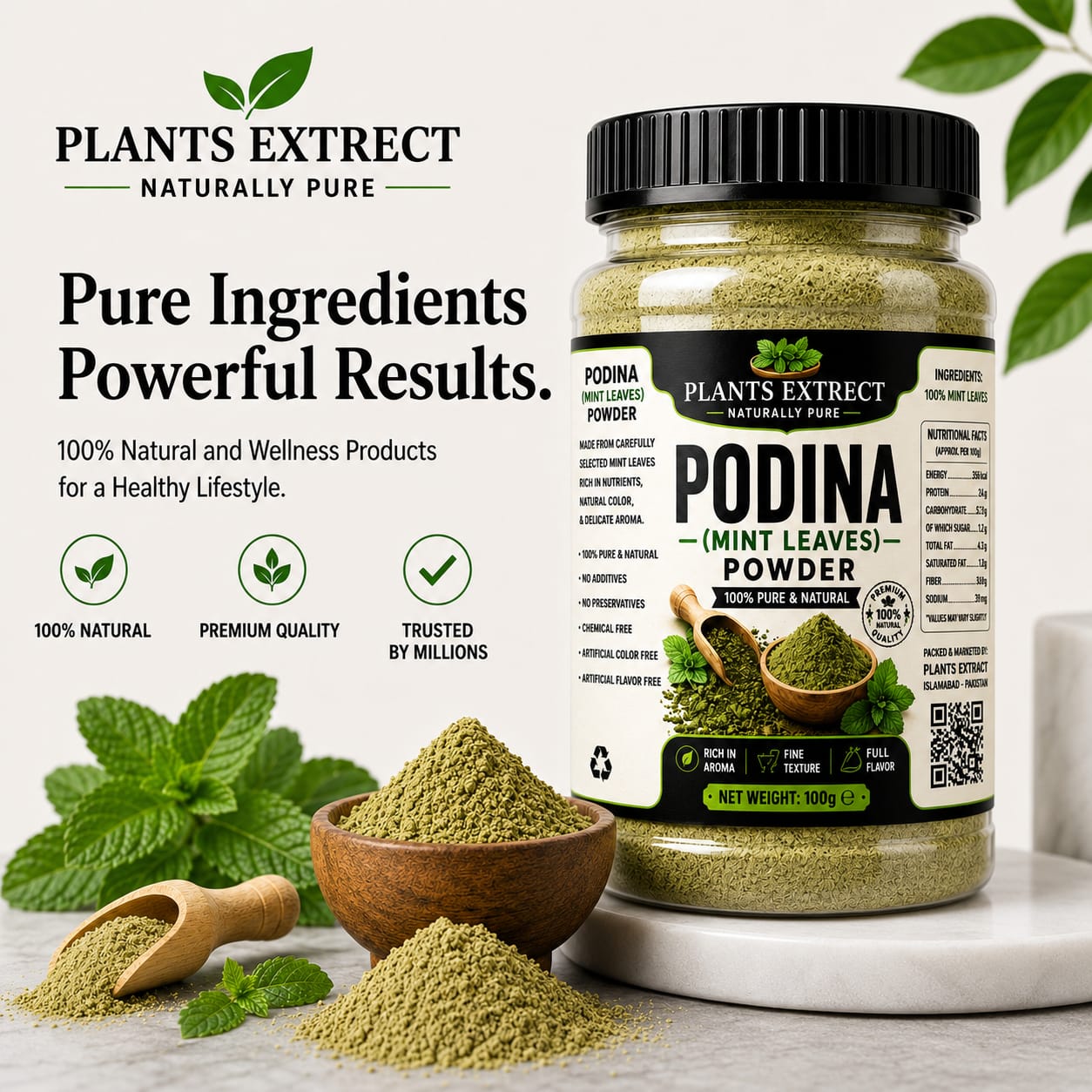 Plants Extrect Podina Powder (Mint Leaves) | 100% Pure & Natural
