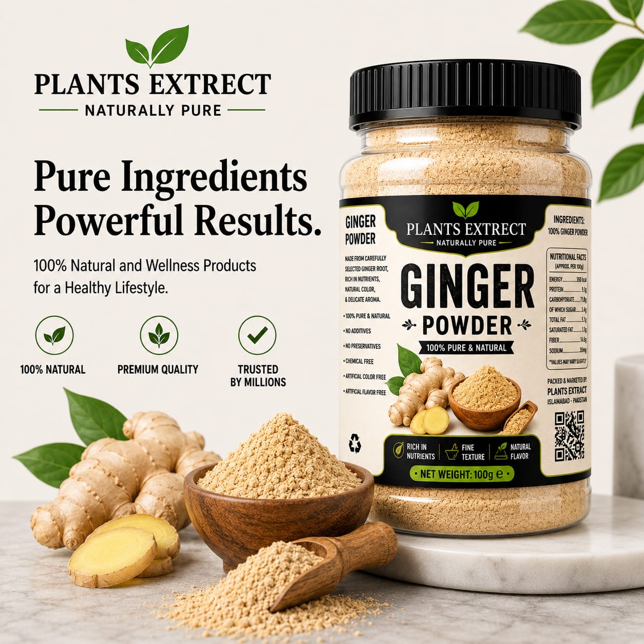 Plants Extrect Ginger Powder  | 100% Pure & Natural