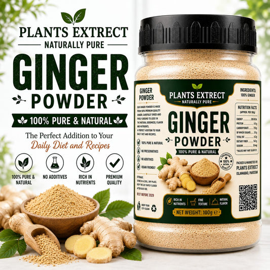 Plants Extrect Ginger Powder 100g | 100% Pure & Natural
