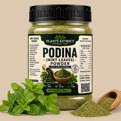 Plants Extrect Podina Powder (Mint Leaves) 100g  | 100% Pure & Natural
